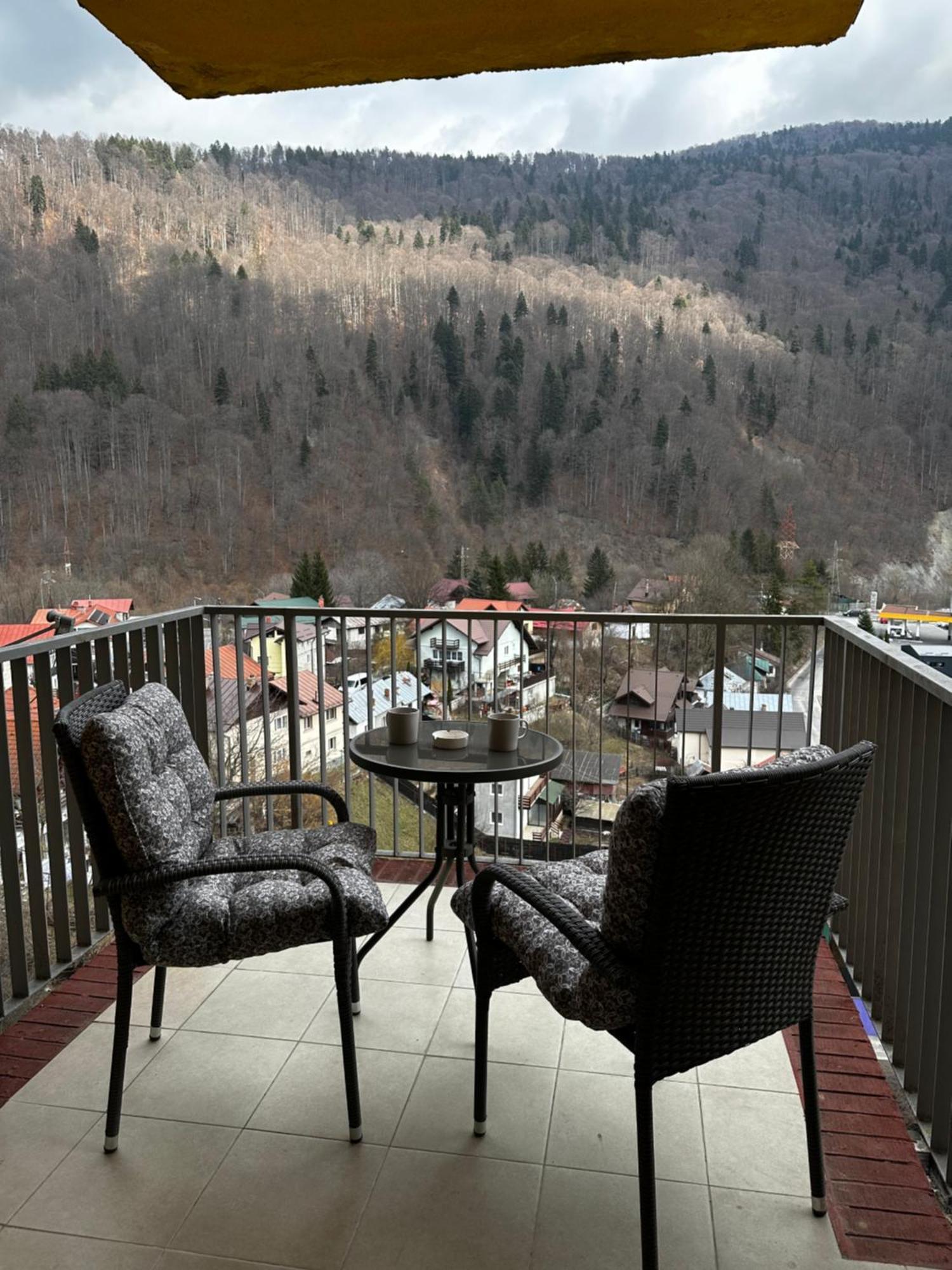 Colette Studio Belleview Sinaia Luaran gambar